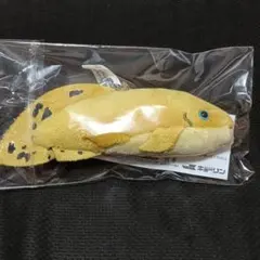 2025年最新】キョーリンぬいぐるみの人気アイテム - メルカリ