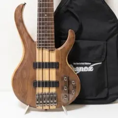 スルーネック 6弦エレキベース アクティブピックアップ ヘビーサウンド