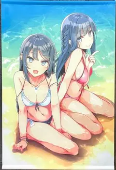 青春ブタ野郎はバニーガール先輩の夢を見ない スリーブ Vol.11 青春ブタ野郎はバニーガール先輩の夢を見ない スリーブ Vol.11 - メルカリ