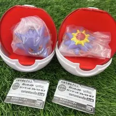 ポケットモンスター ガシャっとコレクト07 ２種セット　カプセル付き