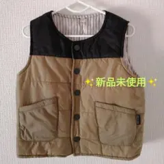 ダウンベスト 100