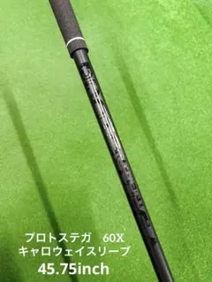 2026年最新】PROTOSTEGAの人気アイテム - メルカリ