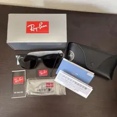 Ray-Ban ORB4391D Black