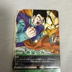ドラゴンボールヒーローズ 希望の光 サポートカード