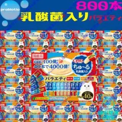 ⭐️桜様専用⭐️ CIAO ちゅーる 3ケース(198本)6種&懐石10袋セット