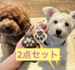 Item thumbnail for item 849484ff-42a8-4987-8b41-a2b5d9ae5a3d