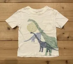 babyGap 恐竜　Tシャツ 2-3歳　95cm ベビーギャップ