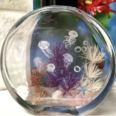 ハーバリウム　アクアリウム*・゜゜・クラゲ*:.。..。.: .。.:*・゜