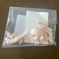 ヒール靴・ヒール足なし 未命名BJD「きのこ菌」蘑菇菌 特典パーツセット