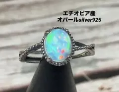 こたぴー様 リクエスト 2点 まとめ商品