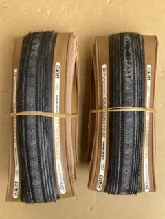 2025年最新】2本セット パナレーサー グラベルキングの人気アイテム