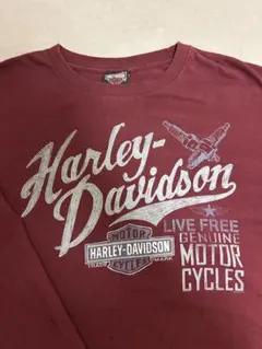 Harley-Davidson ロンTのサムネイル