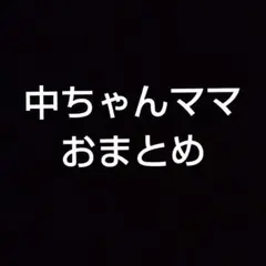 中ちゃんママ様 リクエスト 2点 まとめ商品