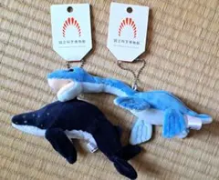 2025年最新】国立科学博物館オリジナルの人気アイテム - メルカリ