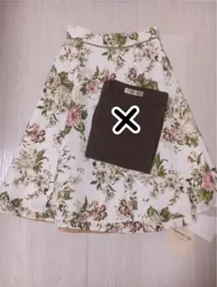 アプワイザーリッシェ