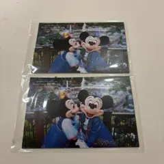 セレブレーションホテル 限定 イマジニング ポストカード 3枚入×2セット