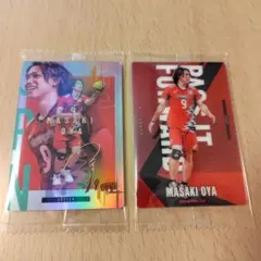 バレーボール男子 日本代表 大宅真樹 ウエハース レア・ ノーマルカードセット