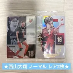 日本代表男子バレー ツインウエハース 西山大翔 カード