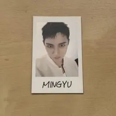 SEVENTEEN FOLLOW AGAIN JAPAN インスタントフォト