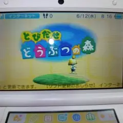 とびだせ どうぶつの森 Nintendo 3DSソフト中古品