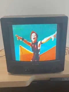 SONY ソニー トリニトロン テレビ ブラウン管テレビ KV-19GP1 - メルカリ