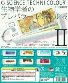 ♯Kui30Fzサイエンステクニ生物学者のプレパラートシール帳全8種 生物学者のプレパラートシール帳 \u2013 ネイチャーテクニカラー公式