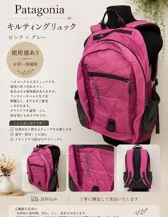 専用です！ お値下げ中！Patagonia リュックのサムネイル