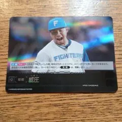 かえるさま専用　2枚セット　威圧　ドリームオーダー