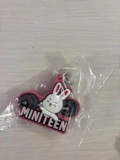 チェチェリー　エスクプス　ミニティーン　MINITEEN めじるしアクセサリー