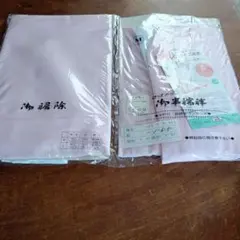 Item thumbnail for item d6742f96-9dae-4106-aafb-fcb911d8829d