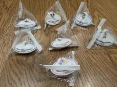 ディズニーリゾート　ネームタグ　キーホルダー