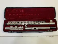 2026年最新】Maxtone フルートの人気アイテム - メルカリ