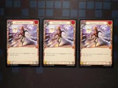 Flesh and Blood Maximum Velocity 3枚セット