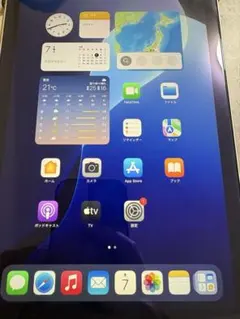 週末限定値下げ！！ iPad mini 第6世代 256GB（MK7V3J）美品