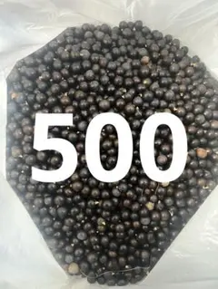 2025年最新】サバルヤシの人気アイテム - メルカリ