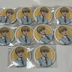 進撃の巨人 アルミン メディコス 缶バッジ 10個セット
