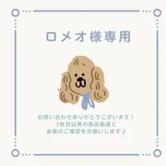 ロメオ様 リクエスト 2点 まとめ商品