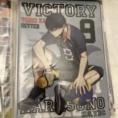 2025年最新】ハイキュー!! クリアファイル/影山飛雄の人気アイテム