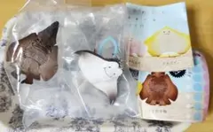 エイの裏側かわいい マーカーチャーム 2種セット