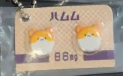 ヒヨコニナール ハムム