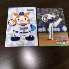 横浜DeNAベイスターズ プロ野球チップス2025