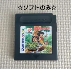 【ソフトのみ】任天堂 GBソフト サバイバルキッズ 孤島の冒険者 ※箱説無し