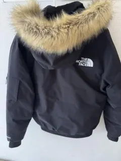 THE NORTH FACE ダウンジャケット GORE-TEX 希少USモデル