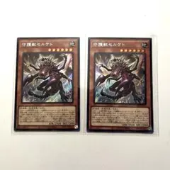 遊戯王　守護獣セルケト　セルケト　シークレット　シク　２枚