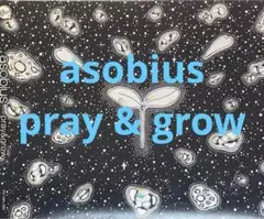 asobius / pray & grow cd609099