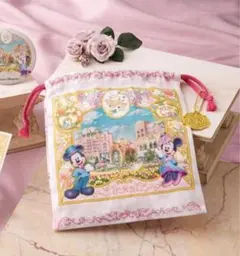 ファンタジースプリングスホテル 巾着 アナ雪 ラプンツェル ピーターパン