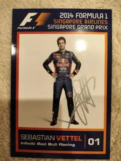 F1 セバスチャン・ベッテル 直筆サイン入りドライバーズカード