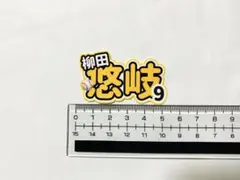 ごま様 リクエスト 10点 まとめ商品