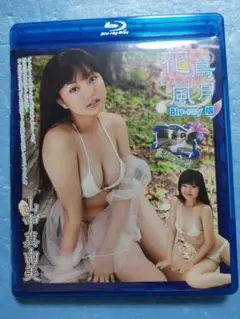 山中真由美Blu-ray 花鳥風月