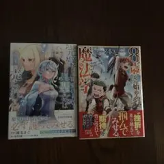 8歳から始める魔法学4完璧すぎて可愛げがないと婚約破棄された聖女は隣国に売られ7